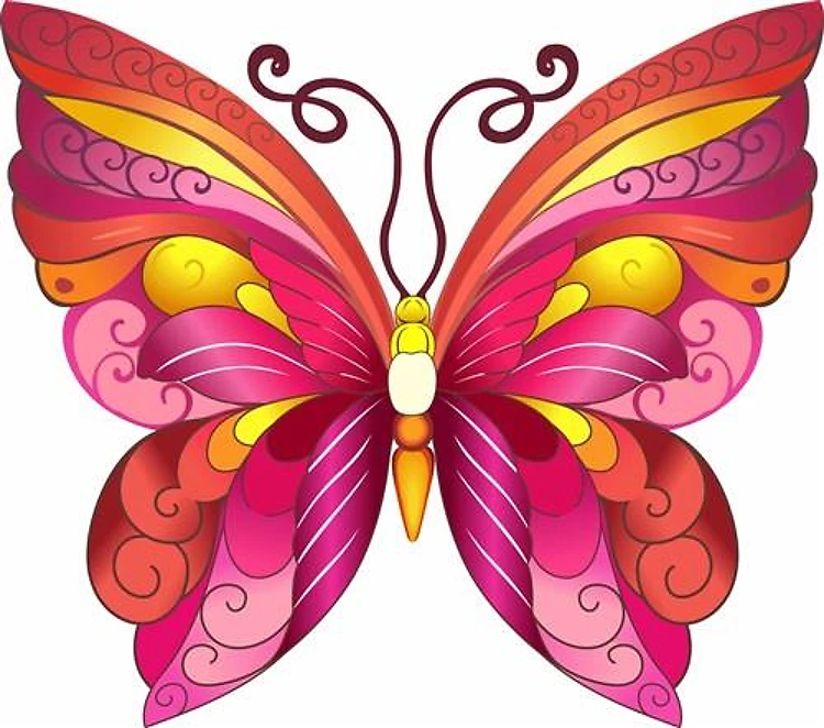 LARGE BUTTERFLY