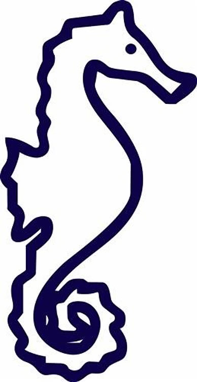 LARGE SEAHORSE APPLIQUE