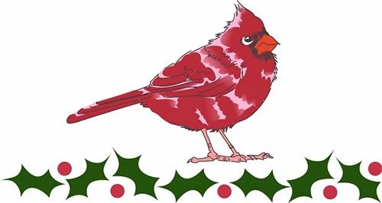 CARDINAL AND HOLLY
