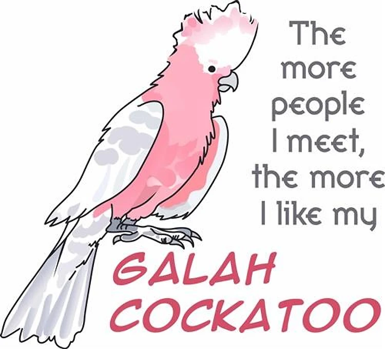 I LIKE MY GALAH COCKATOO