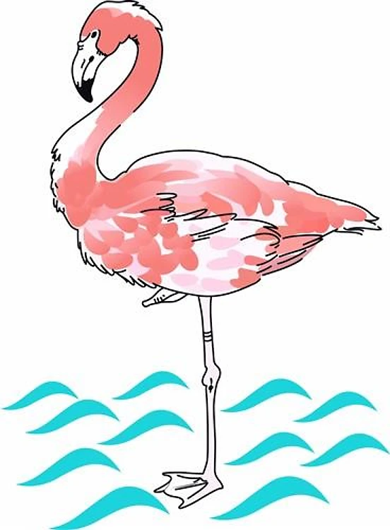 FLAMINGO IN WATER