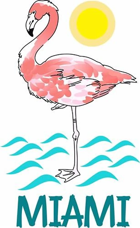 MIAMI FLAMINGO