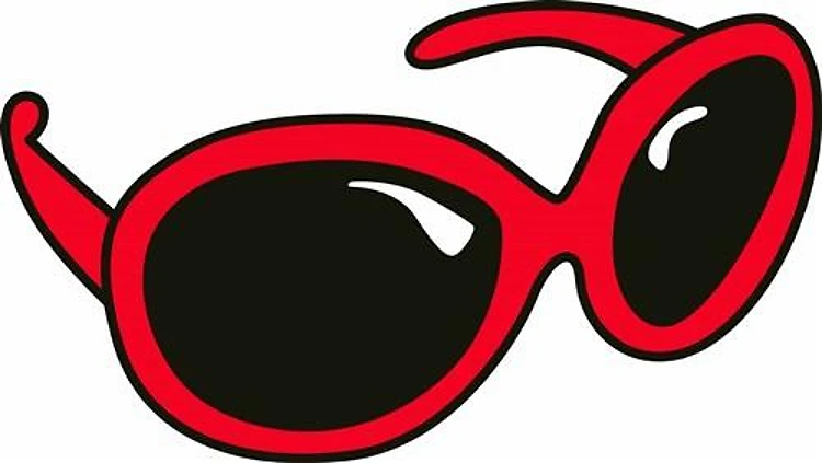 SUNGLASSES