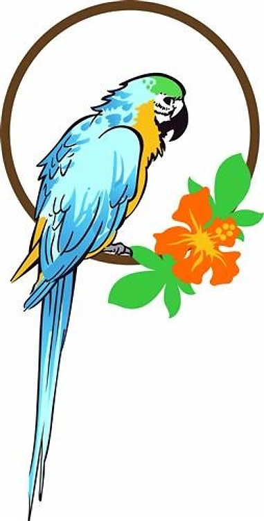 BLUE MACAW ON SWING