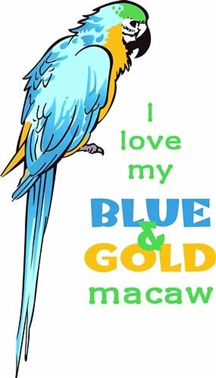 I LOVE MY MACAW