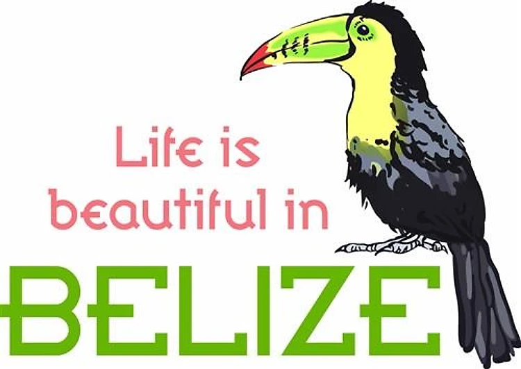 TOUCAN LIFE IN BELIZE
