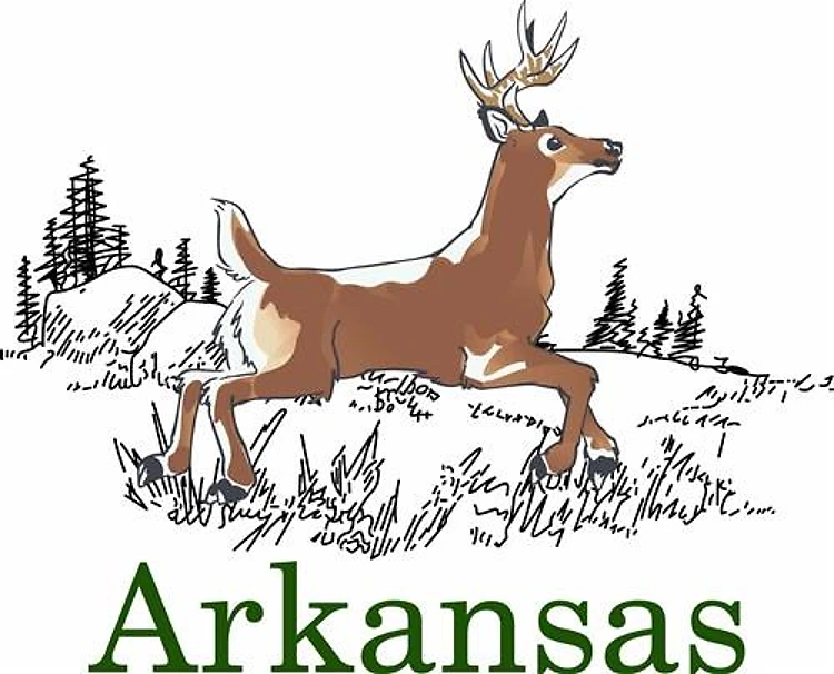 ARKANSAS WHITETAIL