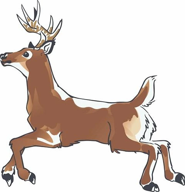 YOUNG BUCK