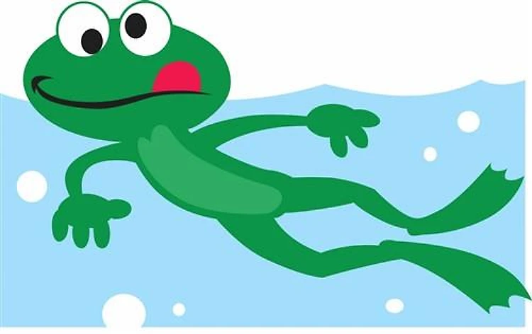 SWIMMING FROG