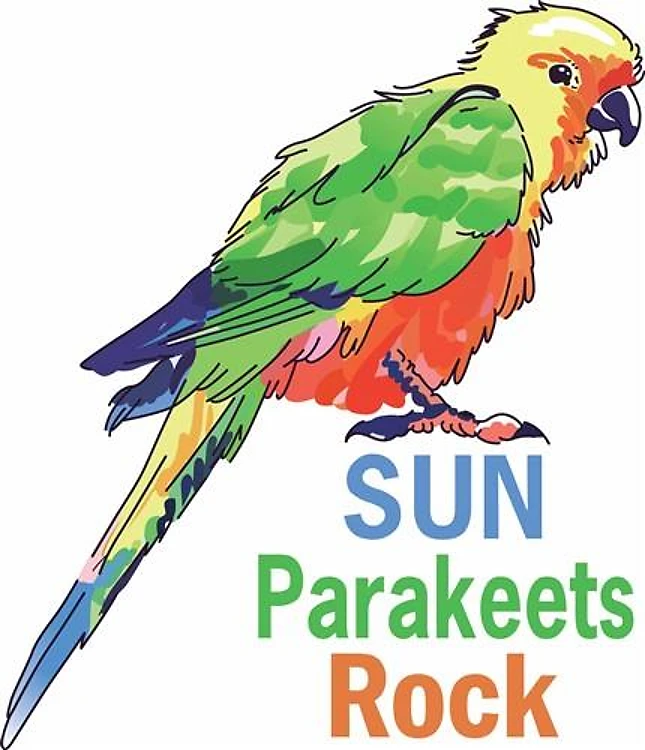SUN PARAKEETS ROCK