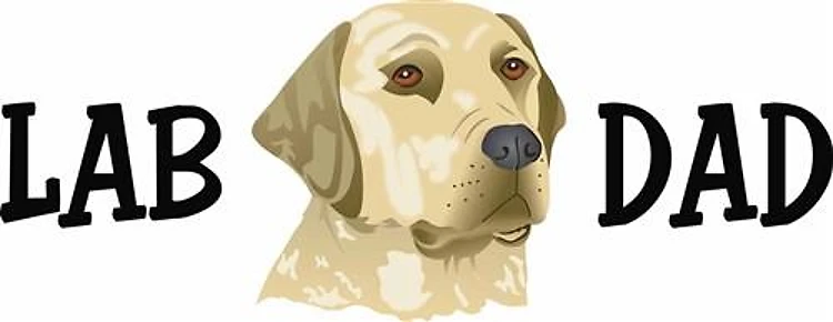 LAB DAD
