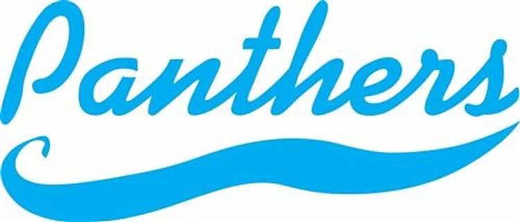 PANTHERS TEAM