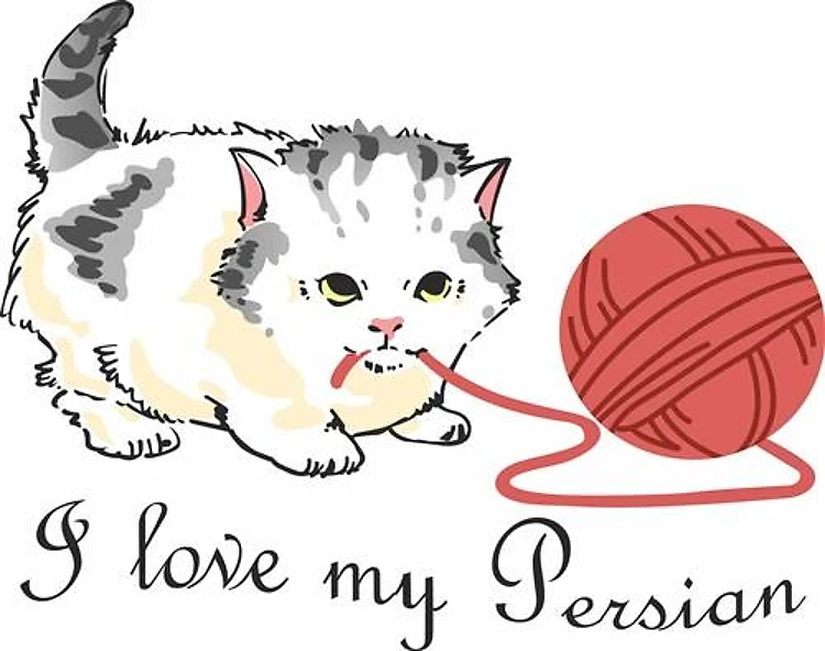 I LOVE MY PERSIAN