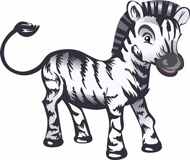 BABY ZEBRA