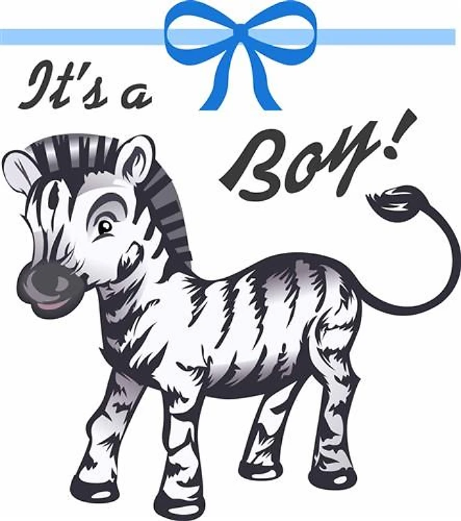 ITS A BOY ZEBRA