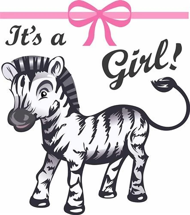 ITS A GIRL ZEBRA