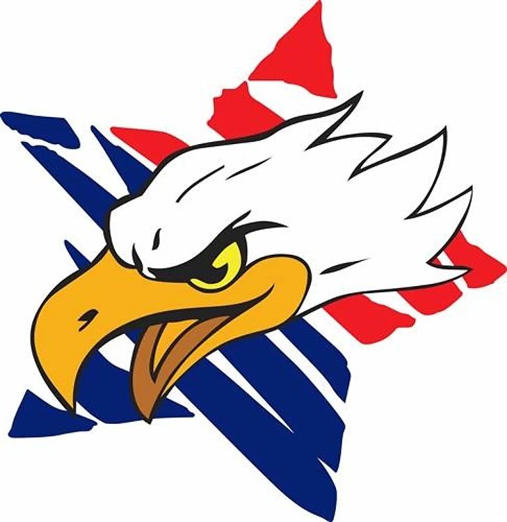 PATRIOTIC EAGLE HEAD