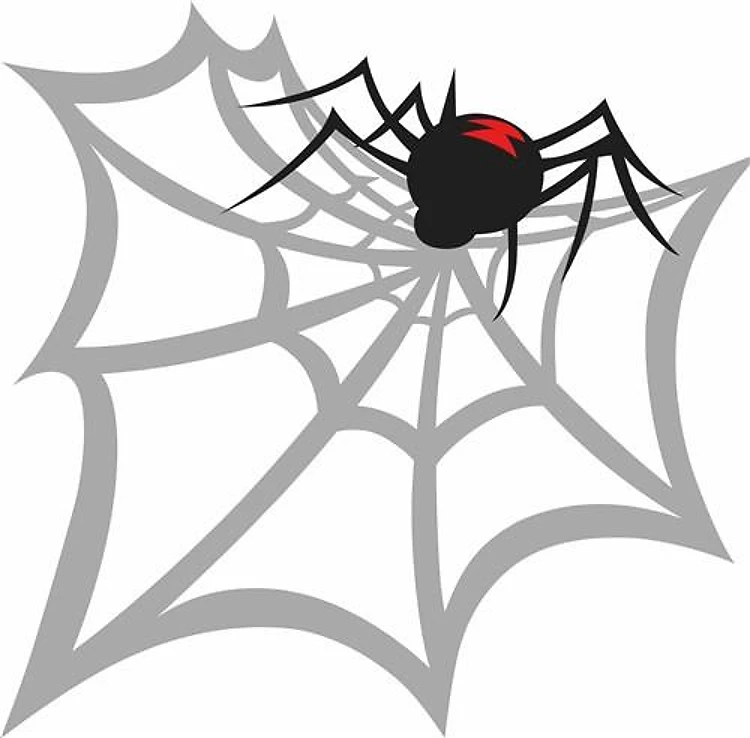 BLACK WIDOW SPIDER WEB