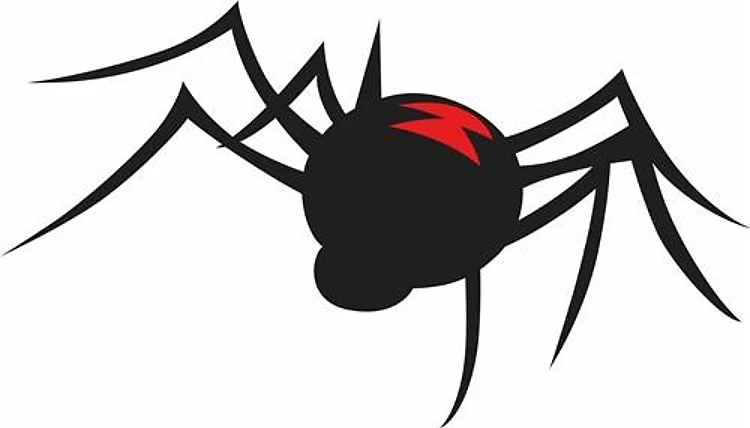 BLACK WIDOW SPIDER