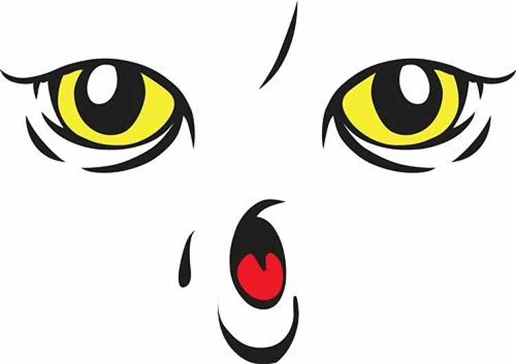 DOLL OWL FACE 19