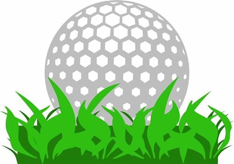 GOLF BALL IN GRASS
