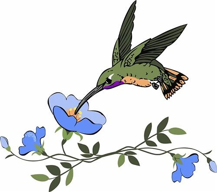 HUMMINGBIRD AND FLOWERS