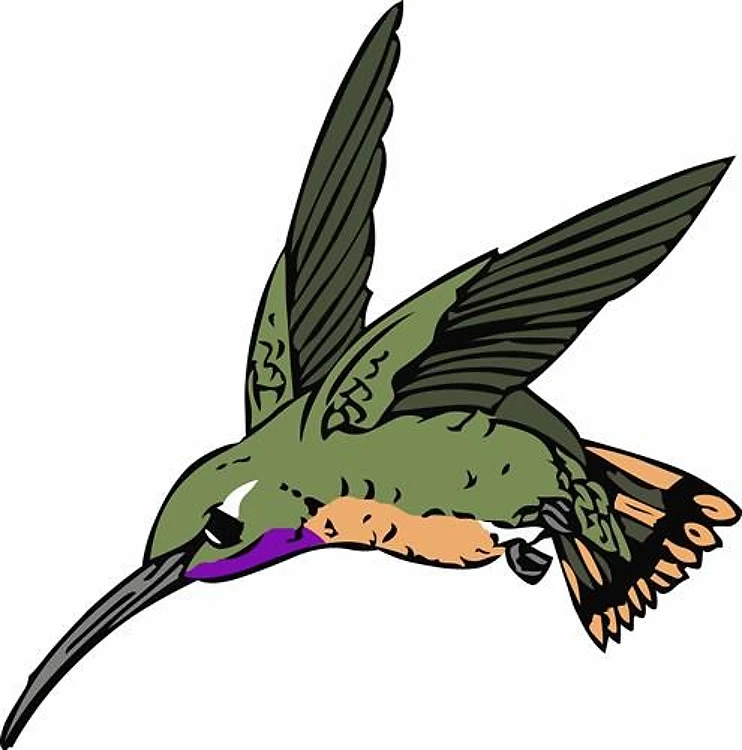WOODSTAR HUMMINGBIRD