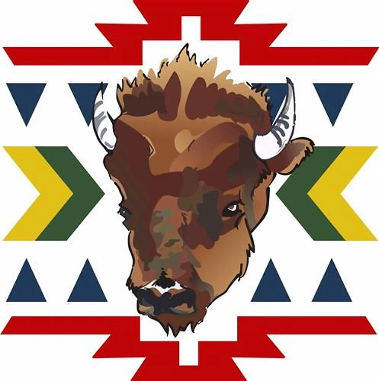 NATIVE AMERICAN BUFFALO