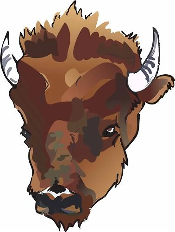 BUFFALO HEAD