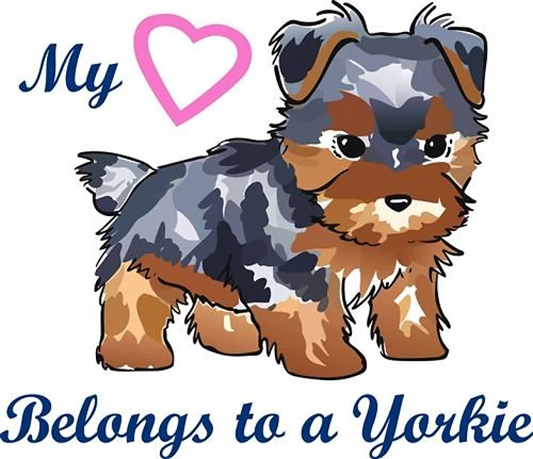 HEART BELONGS TO A YORKIE