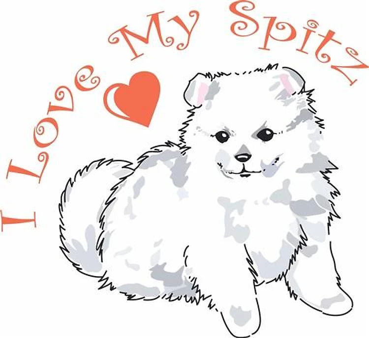 I LOVE MY SPITZ