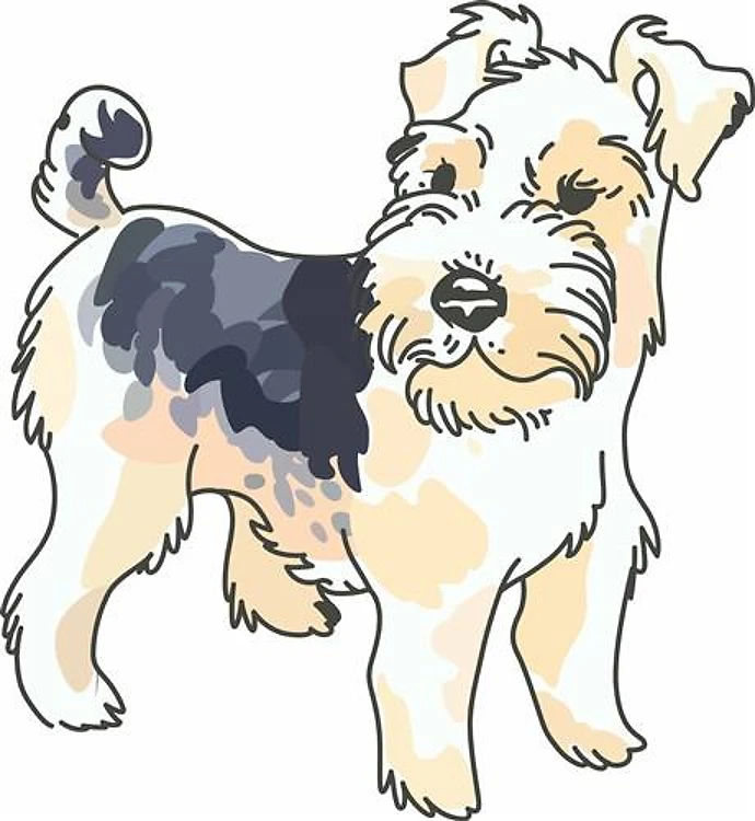 WIRE HAIR FOX TERRIER