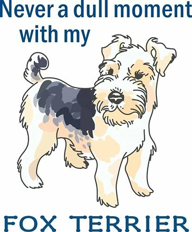 NEVER DULL WITH TERRIER