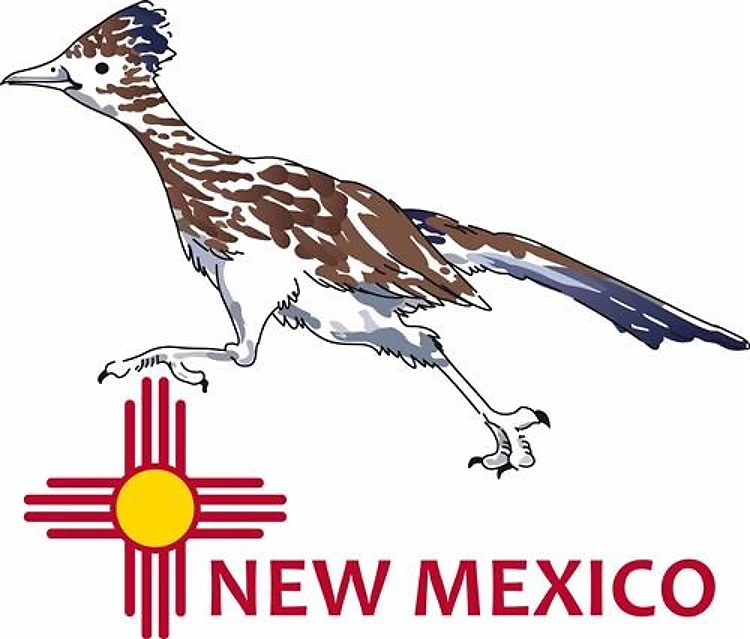 NEW MEXICO ROADRUNNER