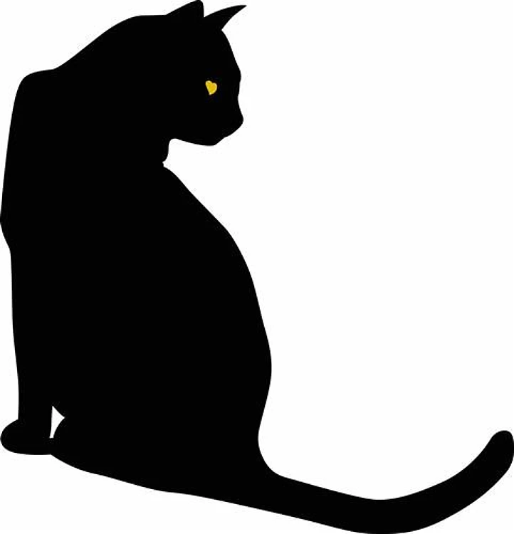 BLACK CAT