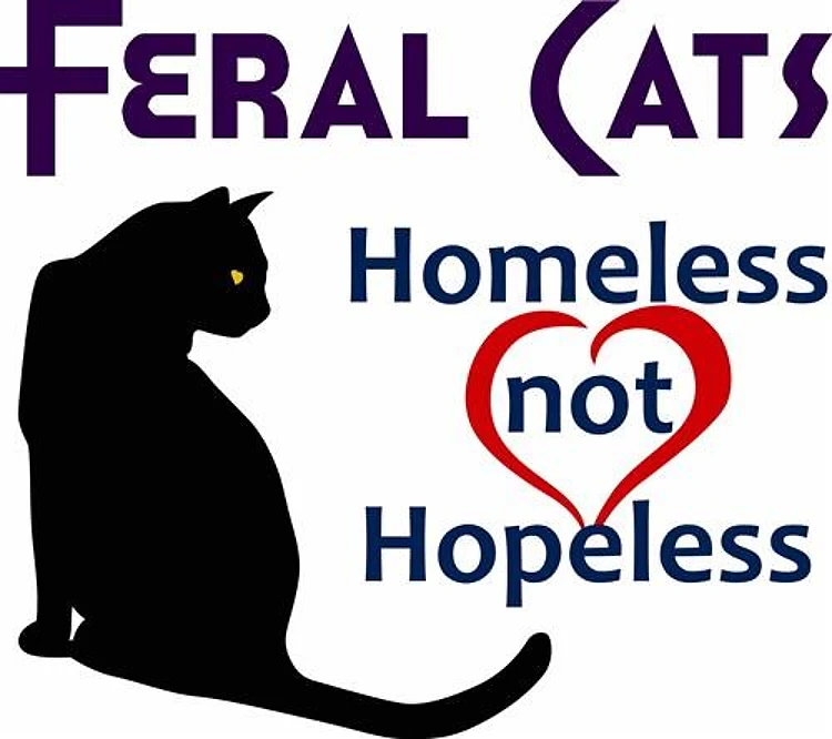 FERAL CATS