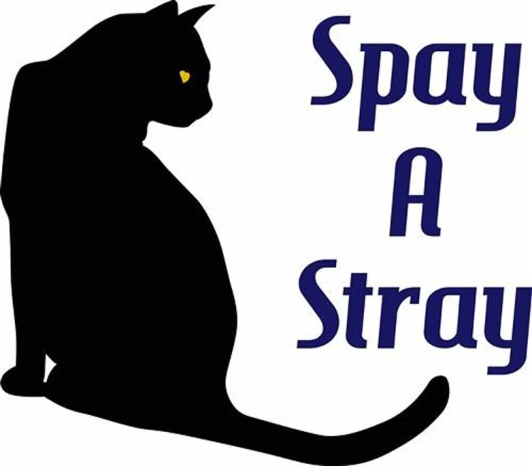 SPAY A STRAY