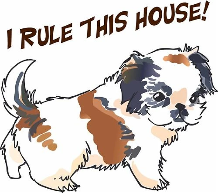 I RULE THIS HOUSE