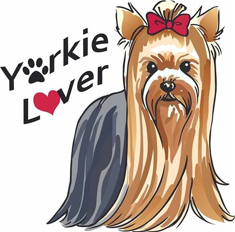 YORKIE LOVER