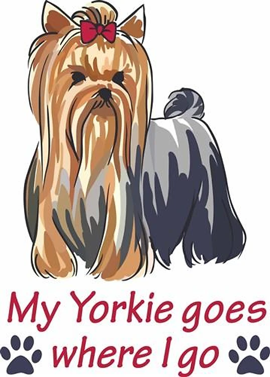 YORKIE GOES WHERE I GO