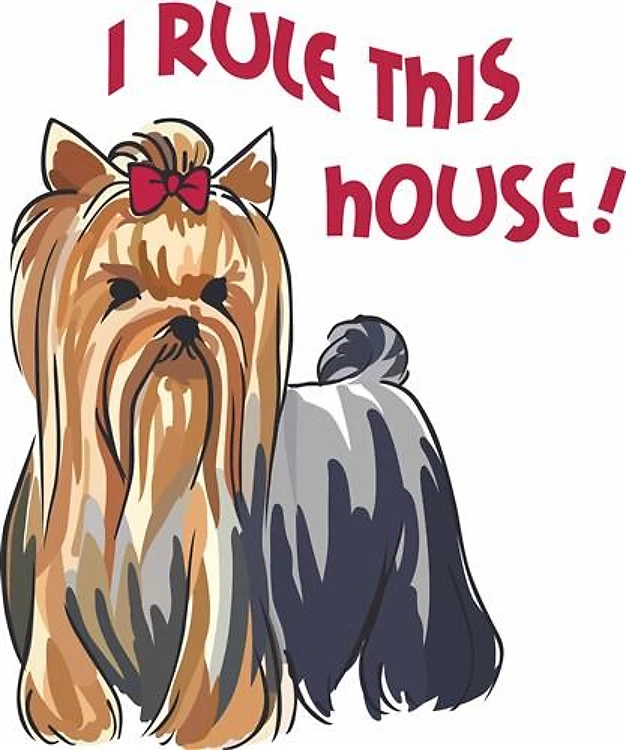 I RULE THIS HOUSE