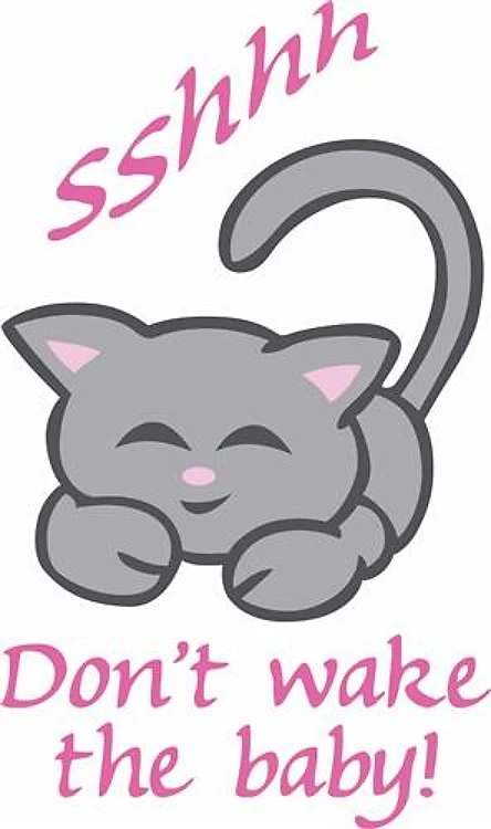 DONT WAKE THE BABY