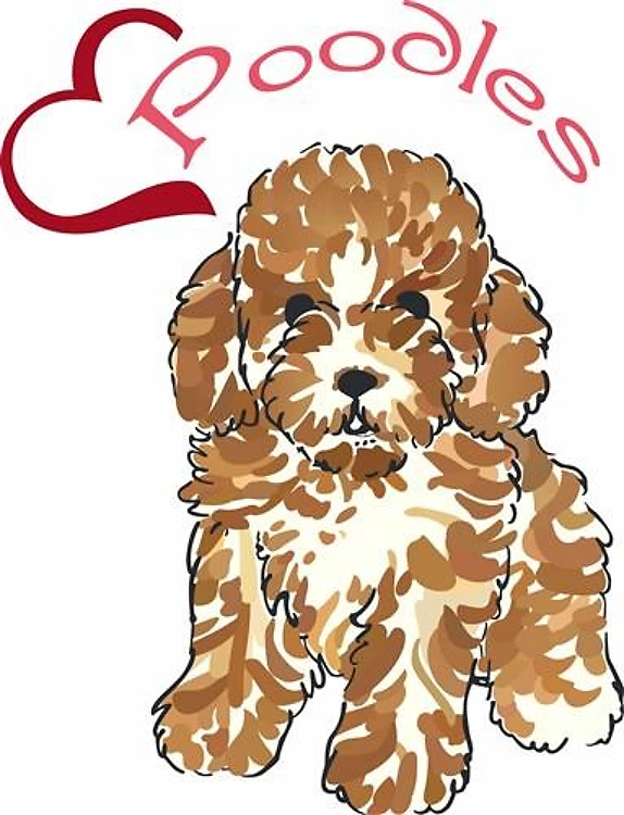 LOVE POODLES