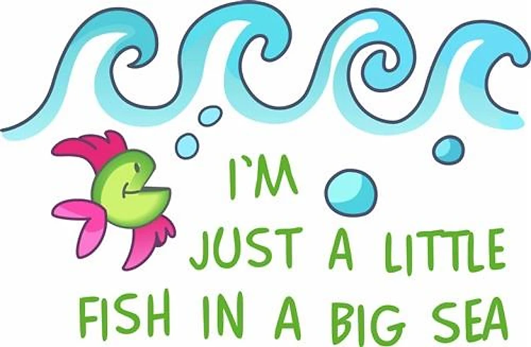 LITTLE FISH IN A BIG SEA