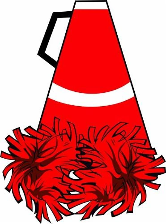 MEGAPHONE POM POMS