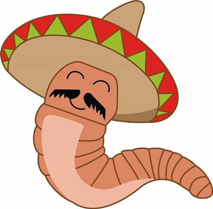 TEQUILA WORM