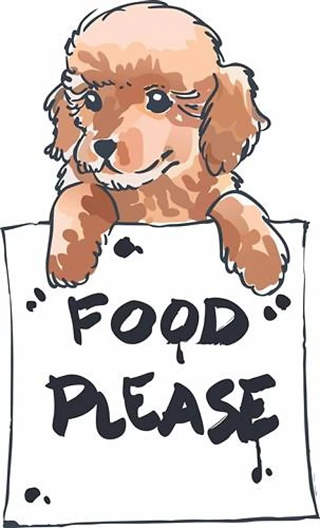 POODLE FOOD PLEASE