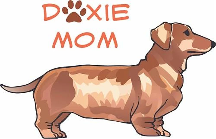 DOXIE MOM