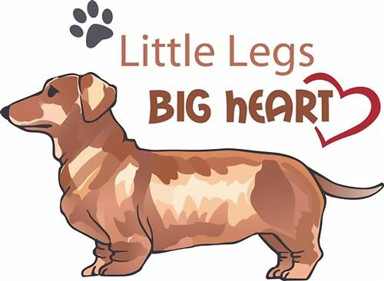 LITTLE LEGS BIG HEART