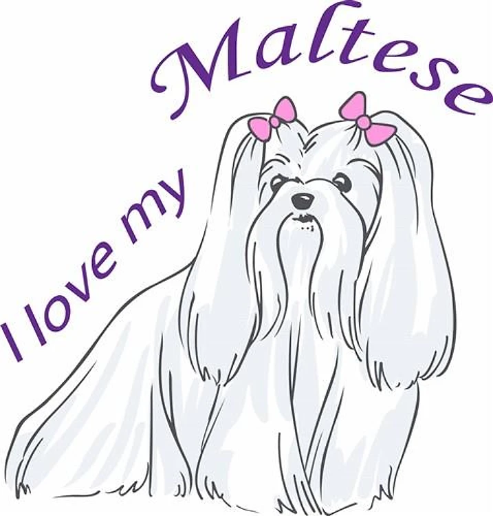 LOVE MY MALTESE